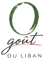 logo_header